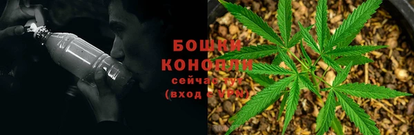 не бодяженный Киренск