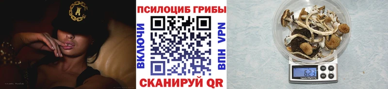 Галлюциногенные грибы прущие грибы  Купить закладки  Гагарин 