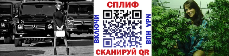 Купить где  Гагарин  Бошки марихуана конопля 